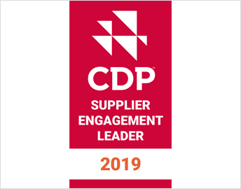 CDP 2019