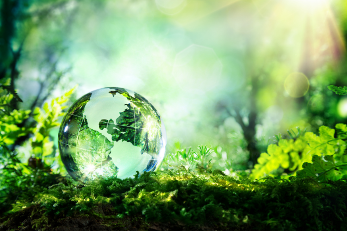 Crystal globe resting on moss in a forest