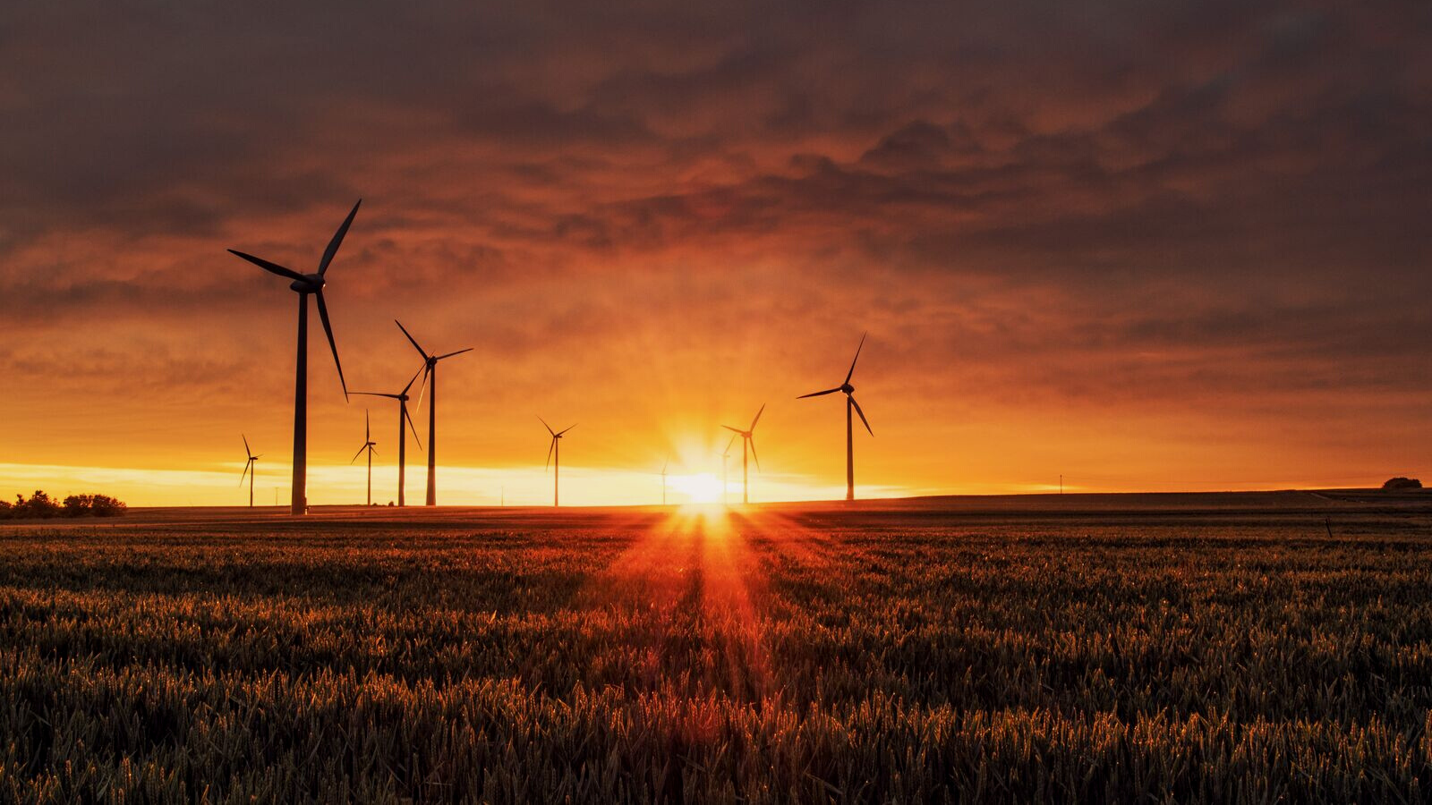 Wind turbines during sunset