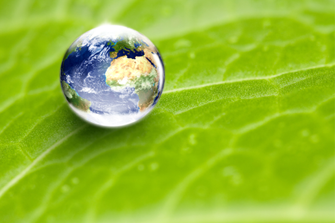 Environmental Conservation Concept
