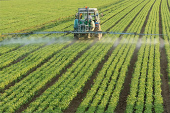 Food contaminants