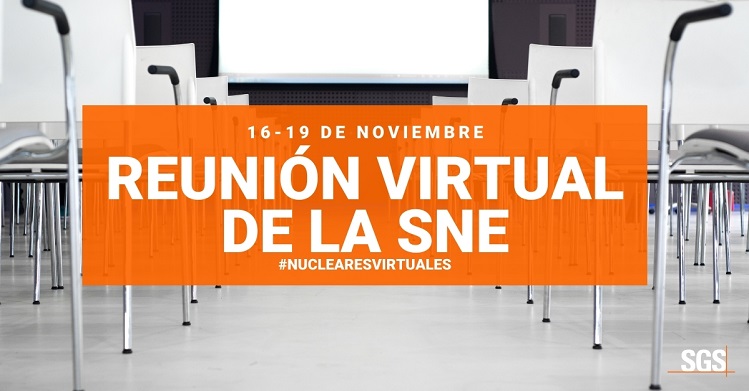 Reunión virtual de la SNE 2020
